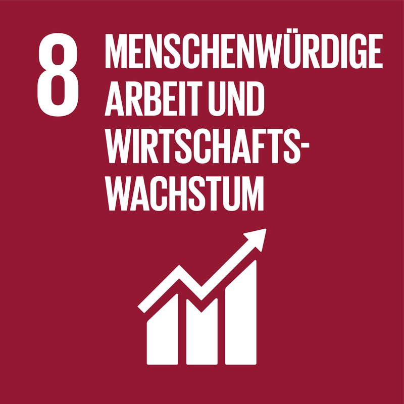 Nachhaltigkeitsziele SDG 8 Menschenwürdige Arbeit und Wirtschaftswachstum